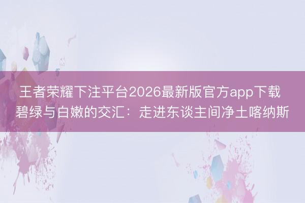 王者荣耀下注平台2026最新版官方app下载 碧绿与白嫩的交汇：走进东谈主间净土喀纳斯