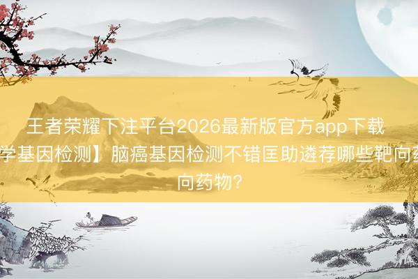 王者荣耀下注平台2026最新版官方app下载 【佳学基因检测】脑癌基因检测不错匡助遴荐哪些靶向药物?