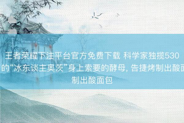 王者荣耀下注平台官方免费下载 科学家独揽5300岁的“冰东谈主奥茨”身上索要的酵母, 告捷烤制出酸面包