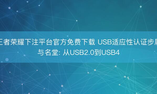 王者荣耀下注平台官方免费下载 USB适应性认证步履与名堂: 从USB2.0到USB4