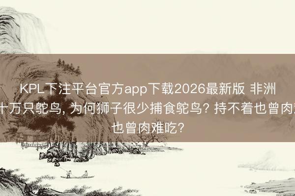 KPL下注平台官方app下载2026最新版 非洲荒芜十万只鸵鸟， 为何狮子很少捕食鸵鸟? 持不着也曾肉难吃?