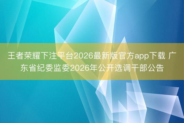 王者荣耀下注平台2026最新版官方app下载 广东省纪委监委2026年公开选调干部公告